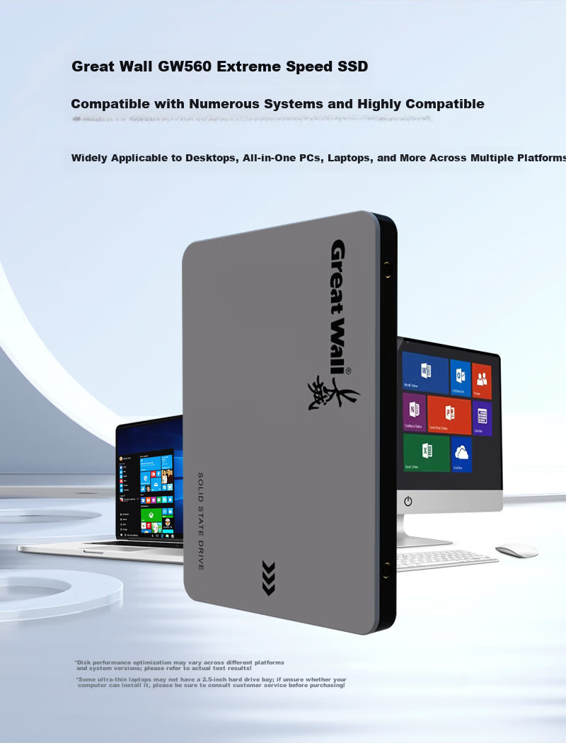 Great Wall 128GB SSD Solid State Drive SATA3.0 Interface 540MB/s Read Speed Desktop/Laptop Universal GW560 Series 6