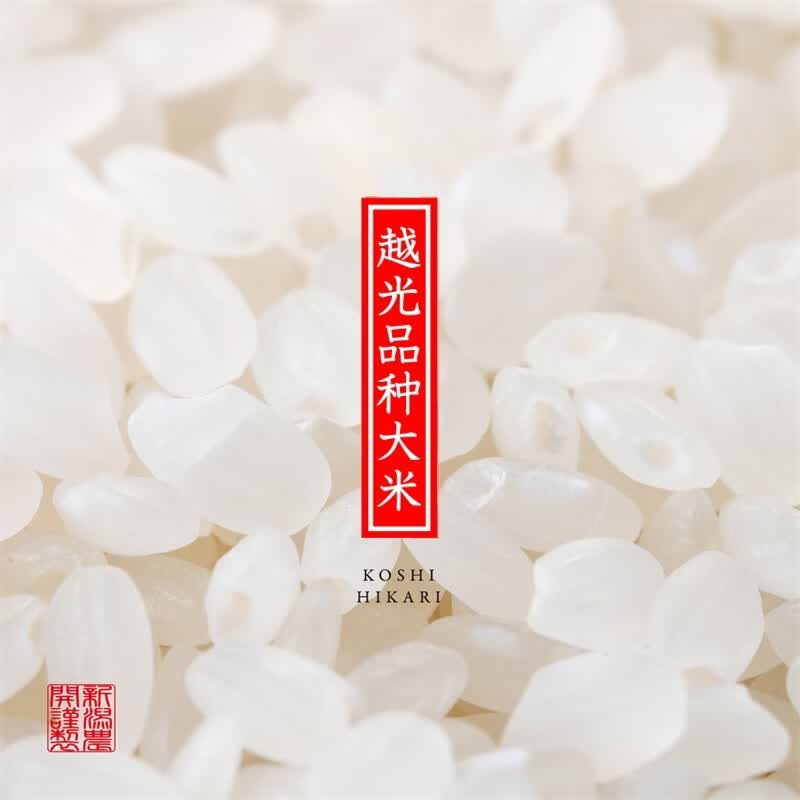 越前日本越光品种大米 4.5kg*1包 寿司米饭团米 东北东港产区 9斤