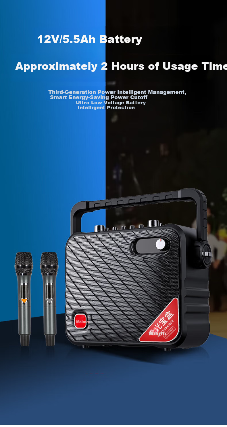 Malata Outdoor Portable Speaker 8-Inch Bass Wooden Guitar Bass Acoustic Instrument Amplifier Microphone Square Dance Speaker 5