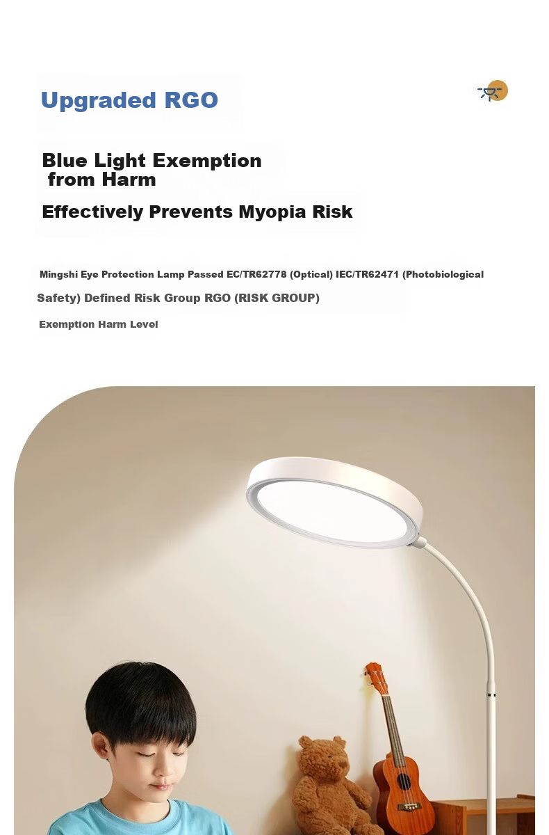 Boraer Outdoor Floor Eye Protection Full Spectrum Desk Lamp Study Reading Lamp Bedside Piano Lamp Standing Study Room Lamp 12