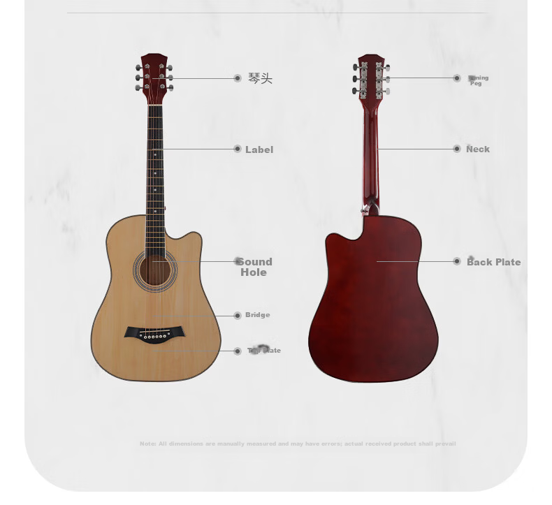 Acacia Bird 38-Inch Acoustic Guitar Beginner Entry-Level Male and Female Instrument Glossy Natural Wood Color 7