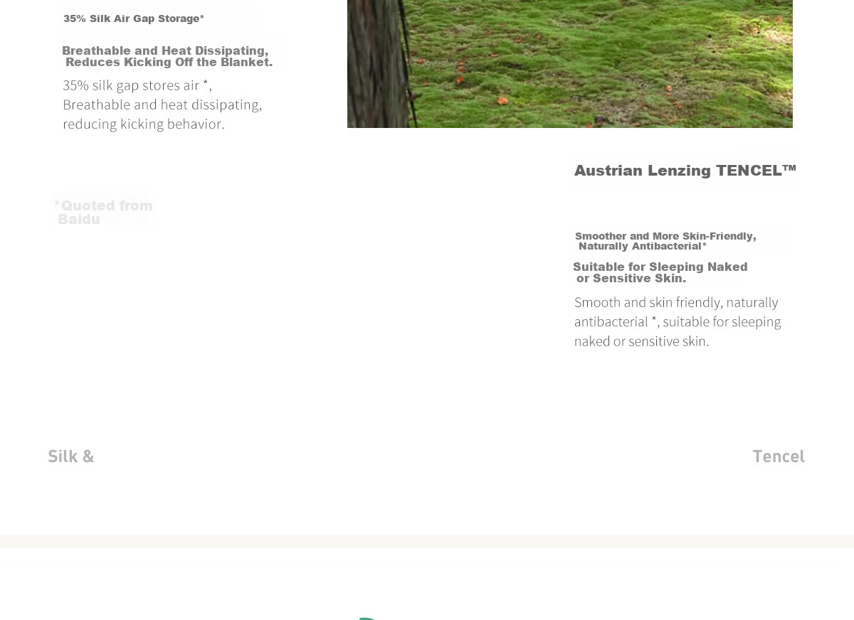 LAZY GOOSE Baby Washable Mulberry Silk Quilt Infant Air Conditioning Quilt Core Children's Tencel Summer Quilt 18