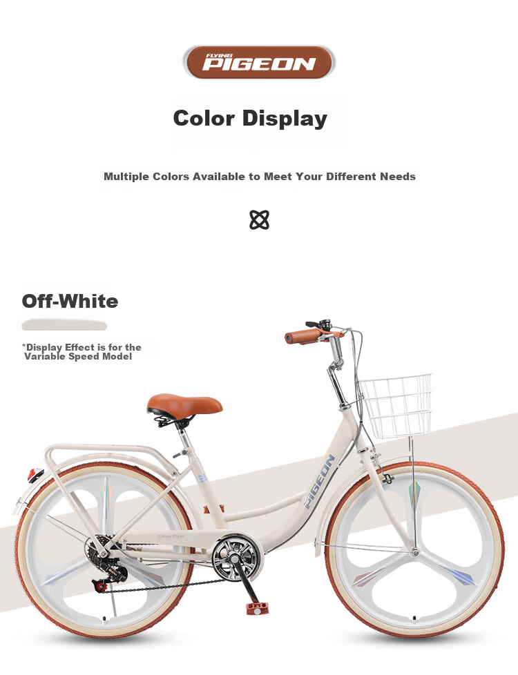 FG FLYING PIGEON 26-inch City Bicycle Low Step-Through Frame Unisex Adult Student Kids Urban Commuter Casual Bike 13