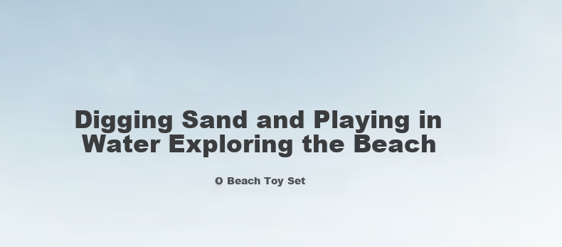 Babycare & BCTOYS Beach Toy Set Sand Shovel Water Play Tools for Kids Ages 3-6 Boys and Girls Birthday Gift - 9 Pieces 2