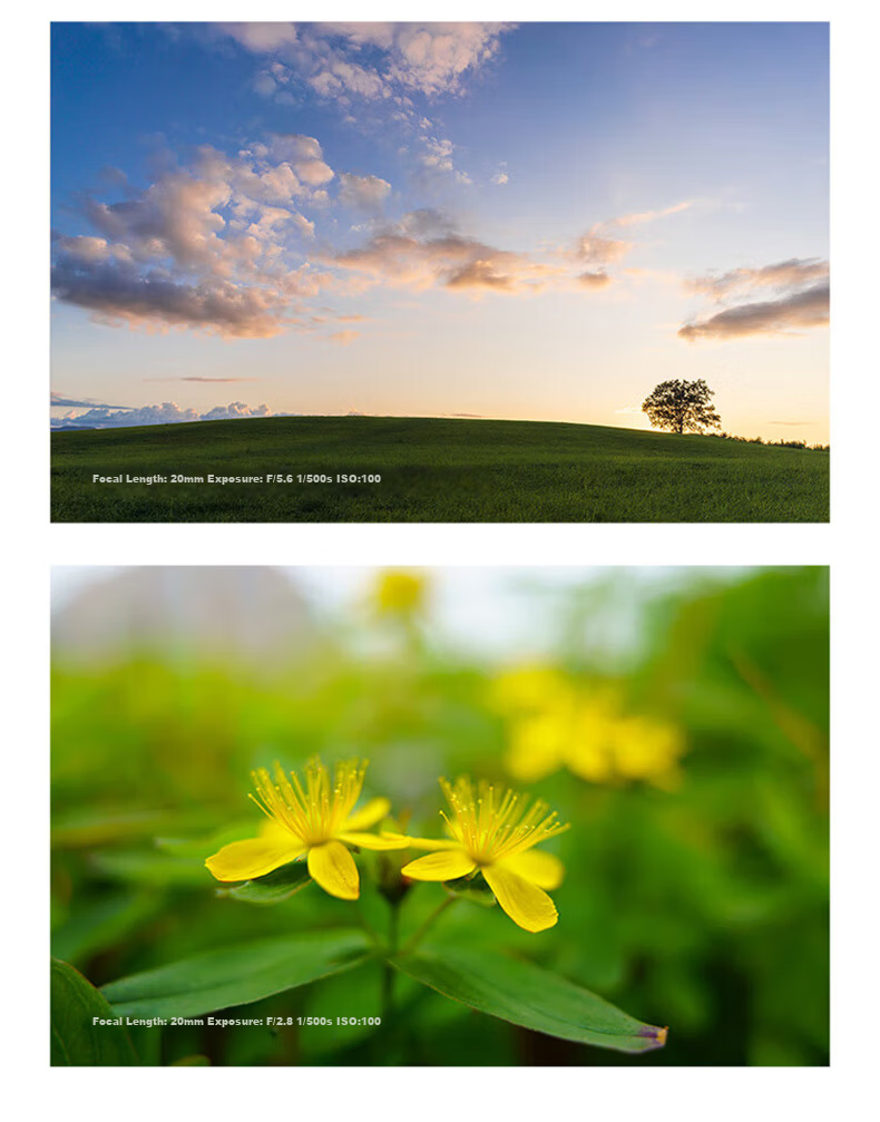 Tamron 20mm F/2.8 Di III OSD M1:2 Macro Sony Full-Frame Mirrorless Wide-Angle Prime Lens for Landscape Architecture Street Photography Sony E-Mount Youth Edition 10