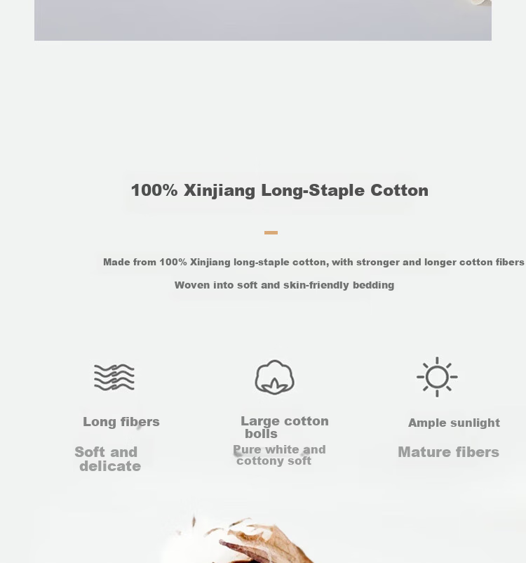 ZiiU White Four-Piece Bedding Set, 60-Count Pure Cotton Bedsheet And Duvet Cover, Light Luxury Satin Striped, Suitable for Hotels, Homestays, Corporate Procurement, 1.5-Meter Bed 6