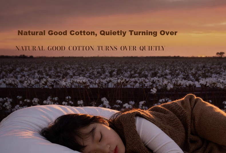 Mercury Home Textile Cotton Quilt Cotton Comforter Core Pure Cotton Class A Xinjiang Cotton Double Approximately 5 Jin 200x230cm 14