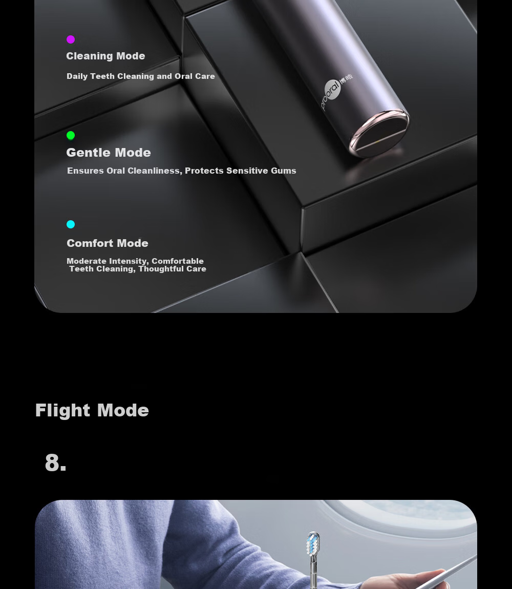 Prooral Sonic Vibration Electric Toothbrush for Adults Rechargeable Couples Gift LS-1 Silver Birthday Present 11