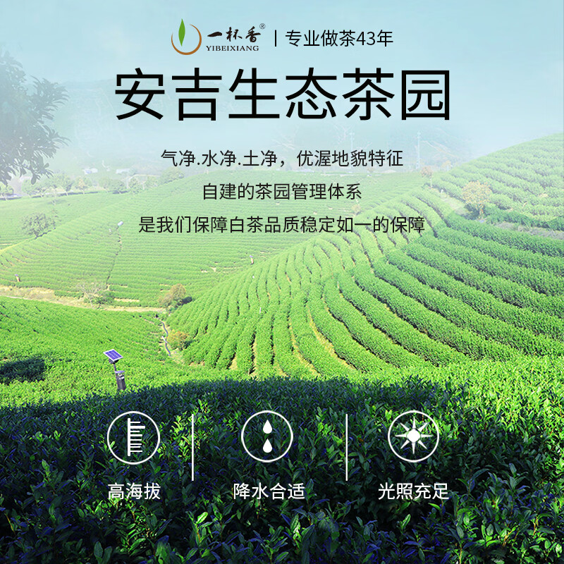 一杯香茶叶绿茶明前安吉正宗白茶200g2026新茶春茶礼盒装自己喝散装茗茶