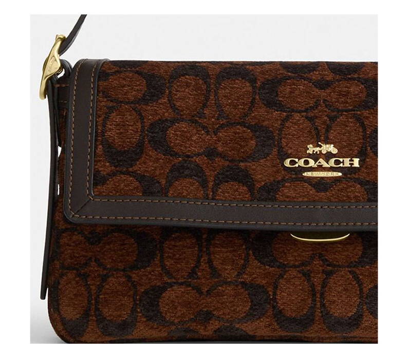 COACH Women's ETTA Classic Logo Shoulder Crossbody Bag Truffle CCV65 11
