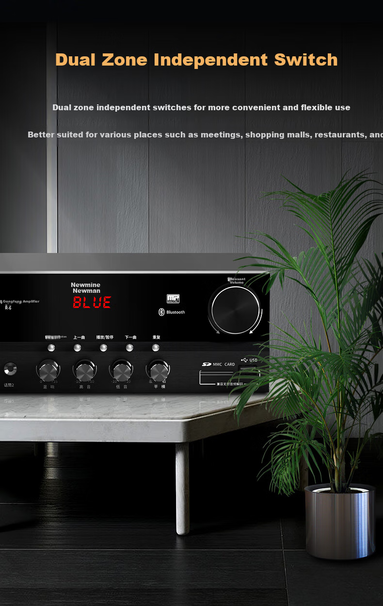 Newmine R-6 Constant Voltage and Constant Resistance Amplifier Public Address Ceiling Speaker Bluetooth Amplifier Black 8