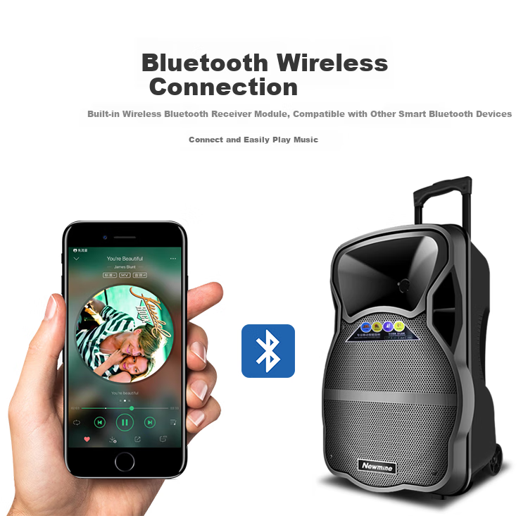 Newmine N539, 15-Inch Square Dance Bluetooth Speaker, High-Power Outdoor Portable Trolley, Home Karaoke, Large Volume Wireless Speaker, Long Battery Life, Dual Microphones, 29 Speakers 7