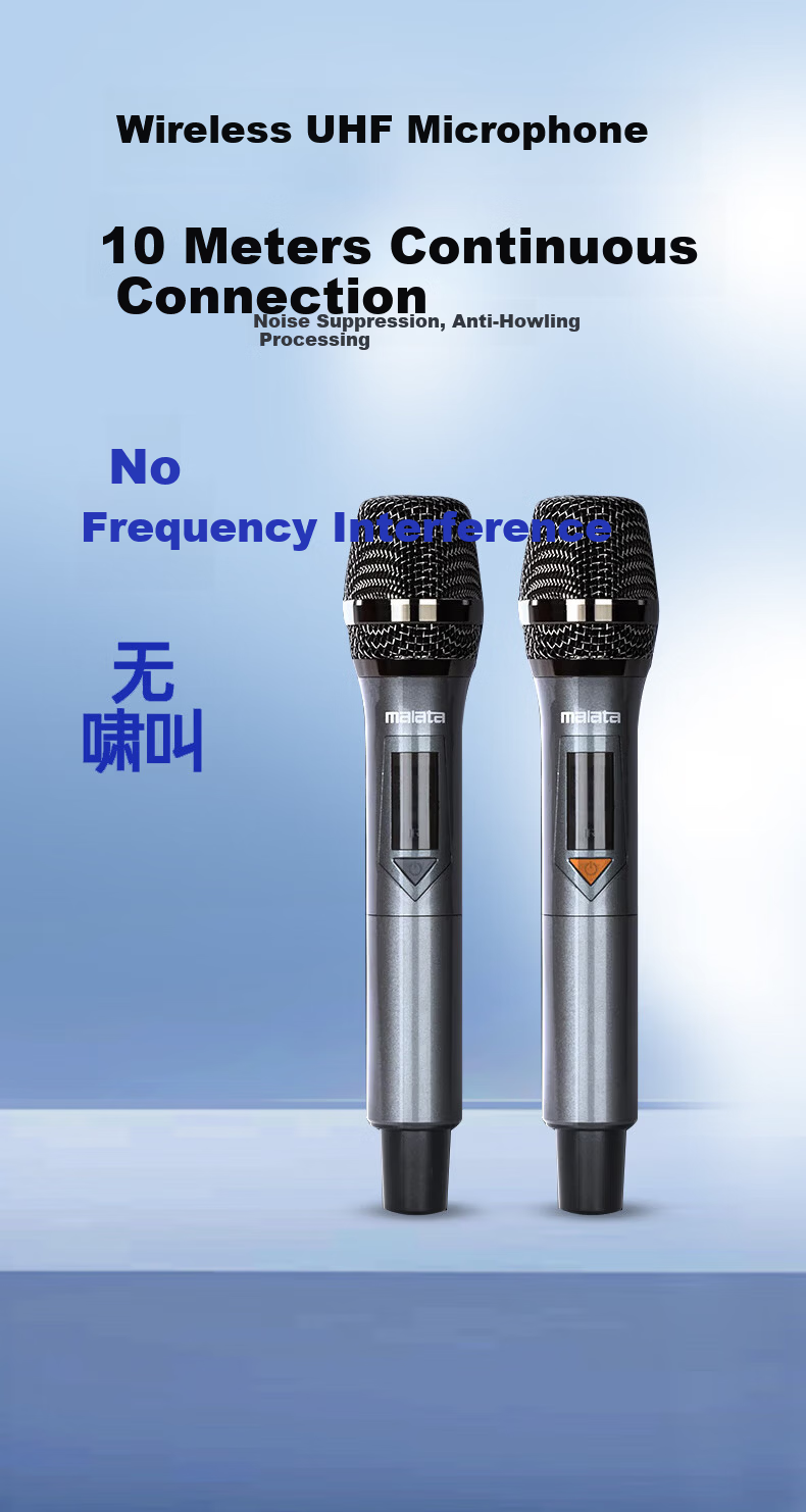 Malata Outdoor Portable Speaker 8-Inch Bass Wooden Guitar Bass Acoustic Instrument Amplifier Microphone Square Dance Speaker 8