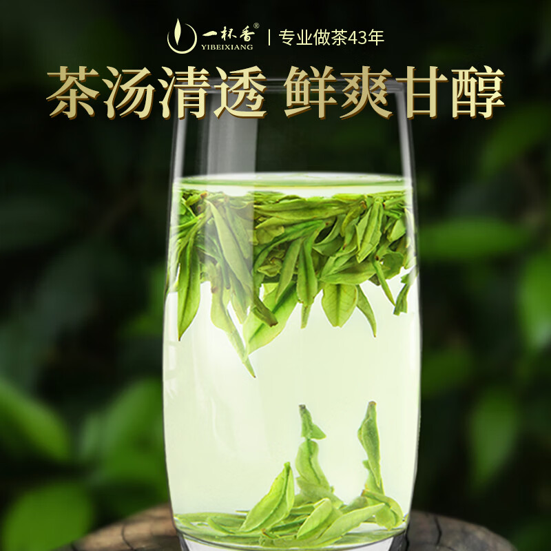 一杯香茶叶绿茶明前安吉正宗白茶200g2026新茶春茶礼盒装自己喝散装茗茶