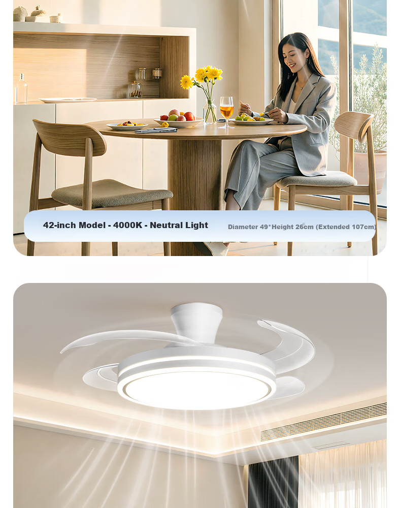 Dell Invisible Fan Light Pure Eye Protection Ceiling Fan Light Silent Home Dining Living Room Integrated Ceiling Fan Lamp New Electric Fan Light Fixture 23