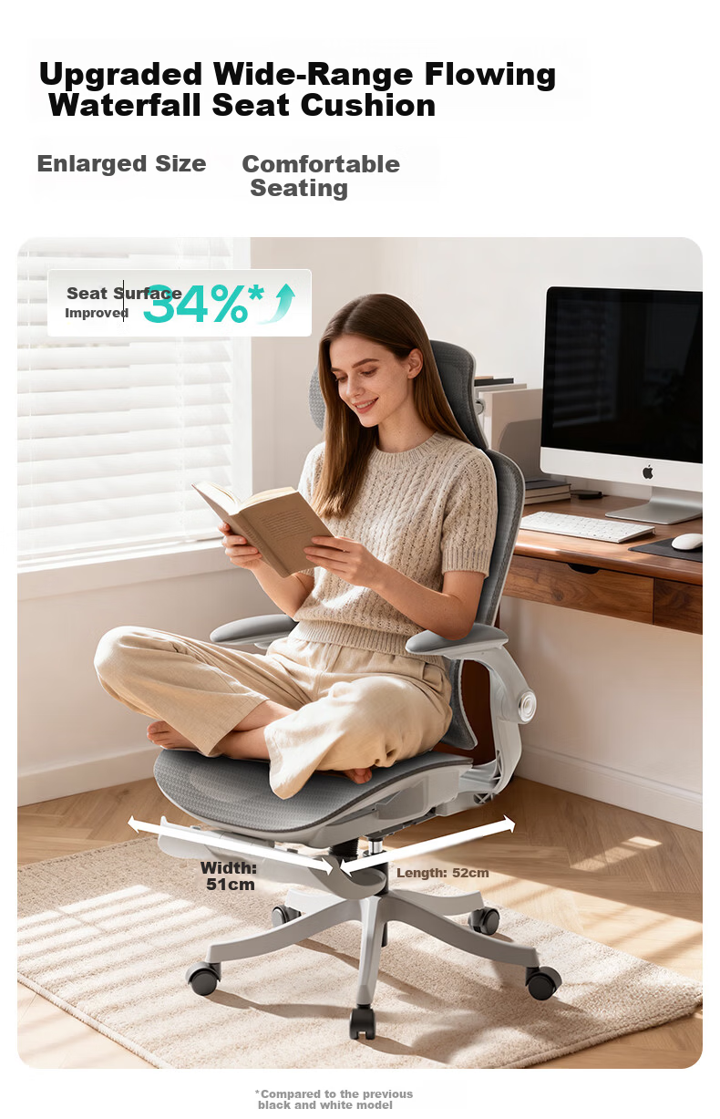 HeiBaiDiao P2Pro 2nd Generation Ergonomic Office Chair Computer Chair Gaming Chair with 4D Lumbar Support 18
