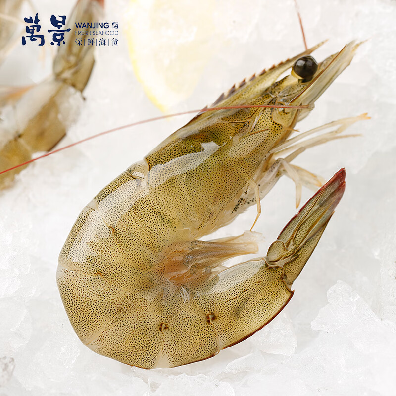万景国产大虾 盐冻北海白虾(大号) 80-100只净重4斤 聚餐 海鲜