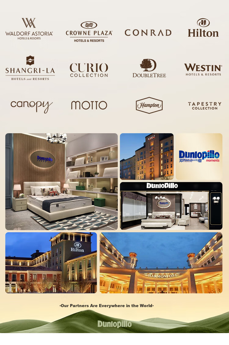 Dunlopillo , Imported from Sri Lanka, Latex Mattress for 1.5m Bed/10cm Thick, 85D ECO Luxury Latex Thin Mat 19