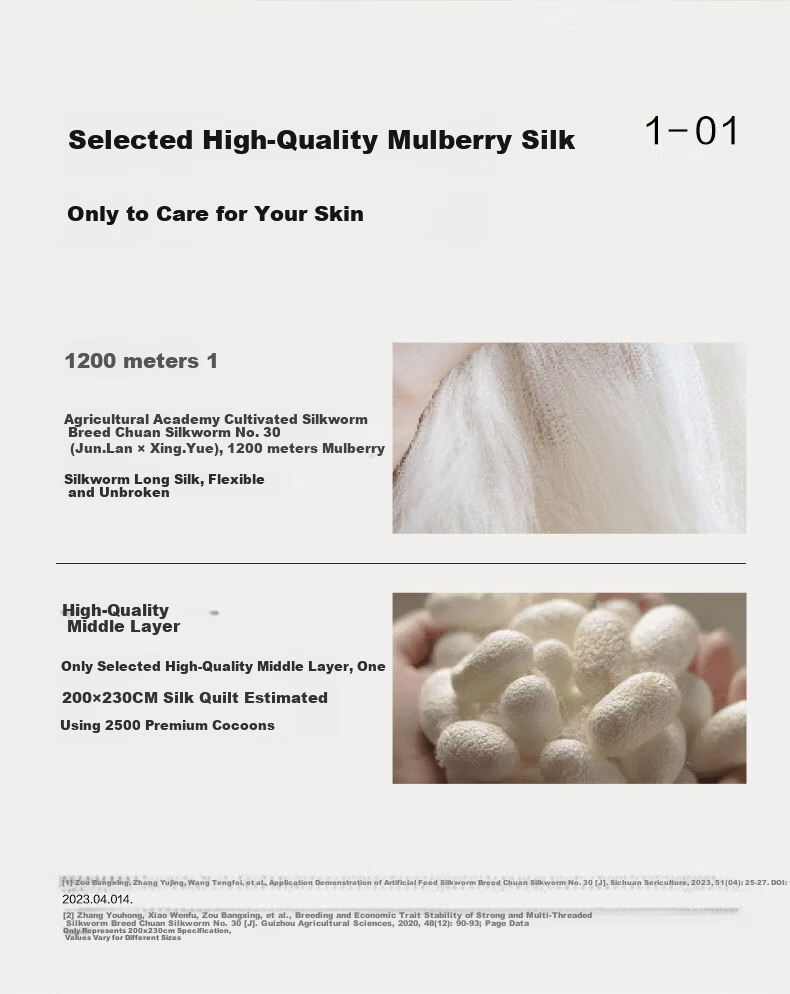 LUOLAI Home Textile 100% Mulberry Silk Quilt 60s Cotton A-Class Washable Four Seasons Quilt Approx. 5.4 Jin 3