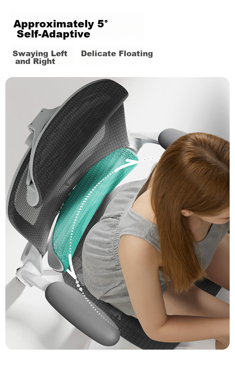 HeiBaiDiao P2Pro 2nd Generation Ergonomic Office Chair Computer Chair Gaming Chair with 4D Lumbar Support 7