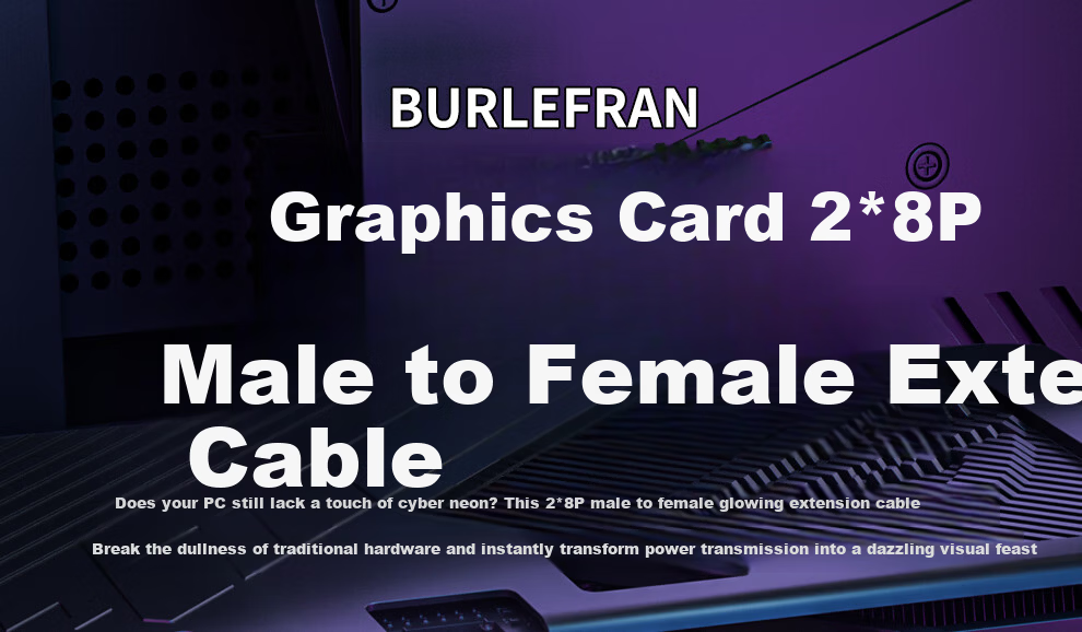 BURLEFRAN 3rd Generation Neon Cable DY-2 8pin*2 Graphics Card Neon Cable (Graphics Card Light Extension / 5V ARGB Aura Sync) 34CM 1