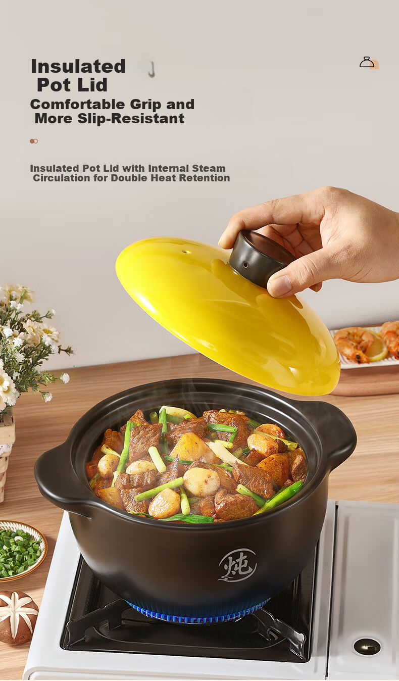 Royalstar Ceramic Clay Pot 3.3L Slow Cooker for Soup, Porridge, Stew, and Herbal Medicine Cooking 17
