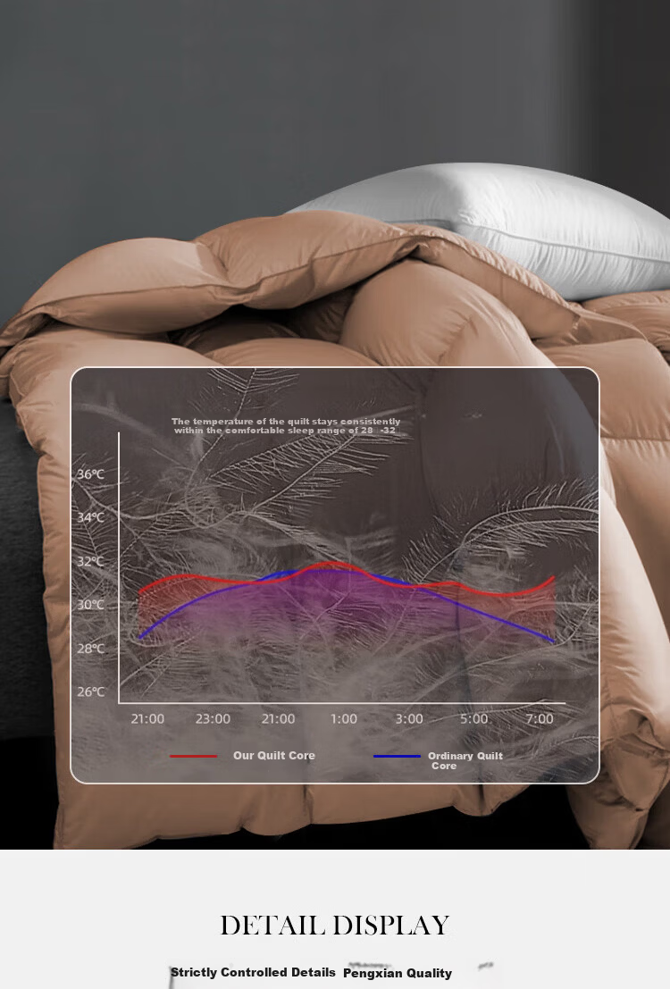 Yuanshenghuo Anti-Drilling down White Duck Feather Comforter Duvet Insert All Seasons Double Size Feather Quilt 7 Jin (3.5 Kg) 200*230cm White 9