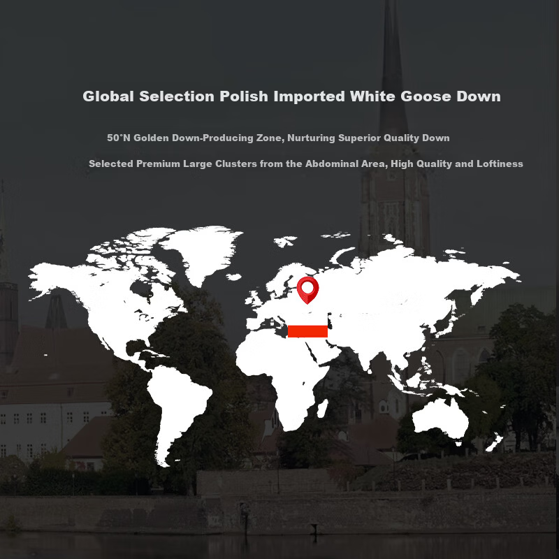LUOLAI Home Textiles Polish Imported 95% White Goose Down Antibacterial Hotel Seven-Star Pillow 47*73cm