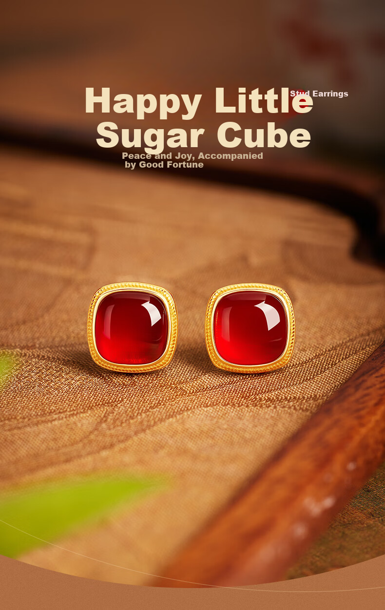 GLTEN Sugar Cube Agate Sterling Silver Earrings Hoop High-End 2026 New Birthday Mother's Day Gift Practical for Mom Wife 1