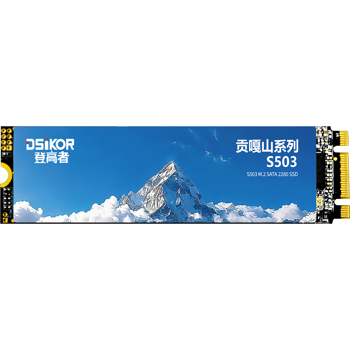DengGaoZhe 256GB SSD Solid State Drive M.2 SATA 2280 NGFF TLC Desktop Laptop Universal Read Speed up to 550MB/s Gongga Mountain S503