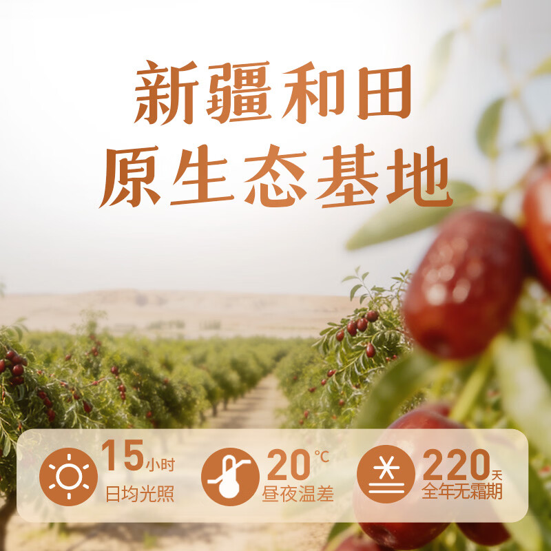 禾煜 新疆无核枣500g  红枣  无核枣 干果蜜饯 泡茶煲汤原料 