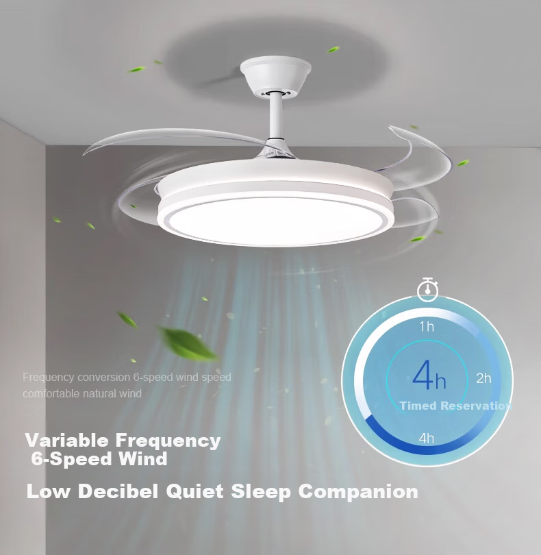 Huipujinggong LED Ceiling Fan Light with Invisible Blades, Variable Frequency Full Spectrum Lighting Fixture for Dining Room, Bedroom, Living Room, 42 Inches 5