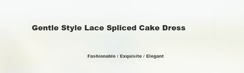 LangSha Women's Skirt 2026 Spring Lace Cake Skirt High Waist Elastic Plush Soft A-Line Long Skirt 1