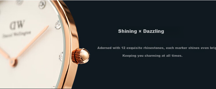 Daniel Wellington Imported DW Women's Fashion Trendy Analog Watch Christmas Gift for Girlfriend 0923DW 3