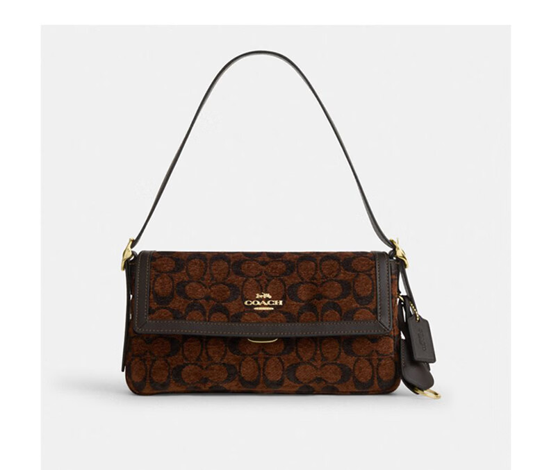 COACH Women's ETTA Classic Logo Shoulder Crossbody Bag Truffle CCV65 6