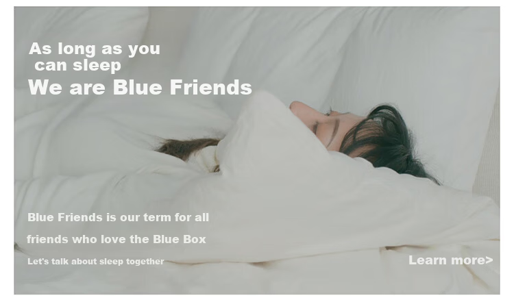 Blue Box Bare Pillowcase Four Seasons Moisture-Wicking Non-Slip Lazy Tencel Fine Denier Modal Blue 1 Piece 17