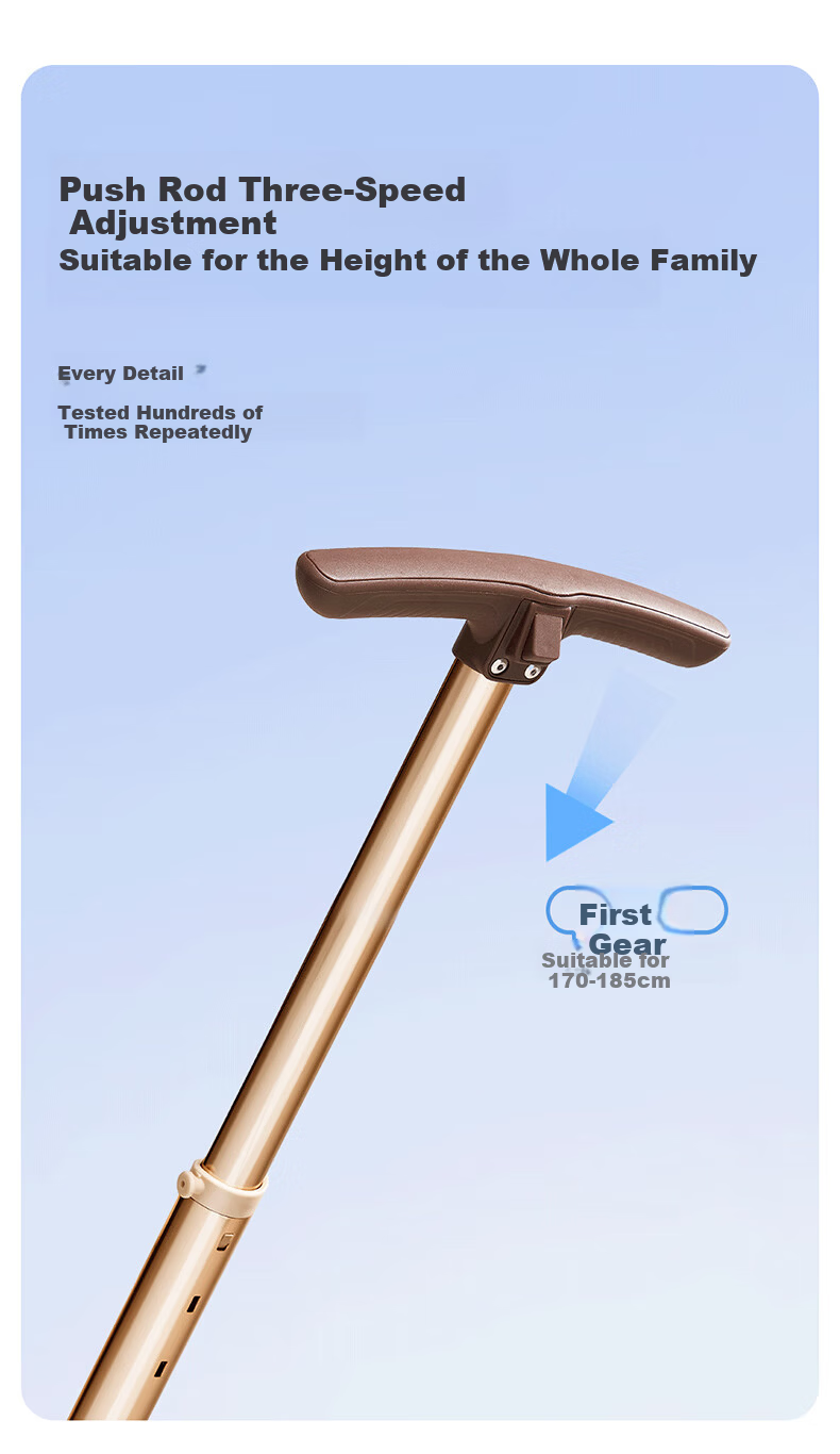 Wanya T6-2 Stroller High Landscape Baby Stroller Convertible Lightweight Foldable Reversible Champagne Gold PRO 37