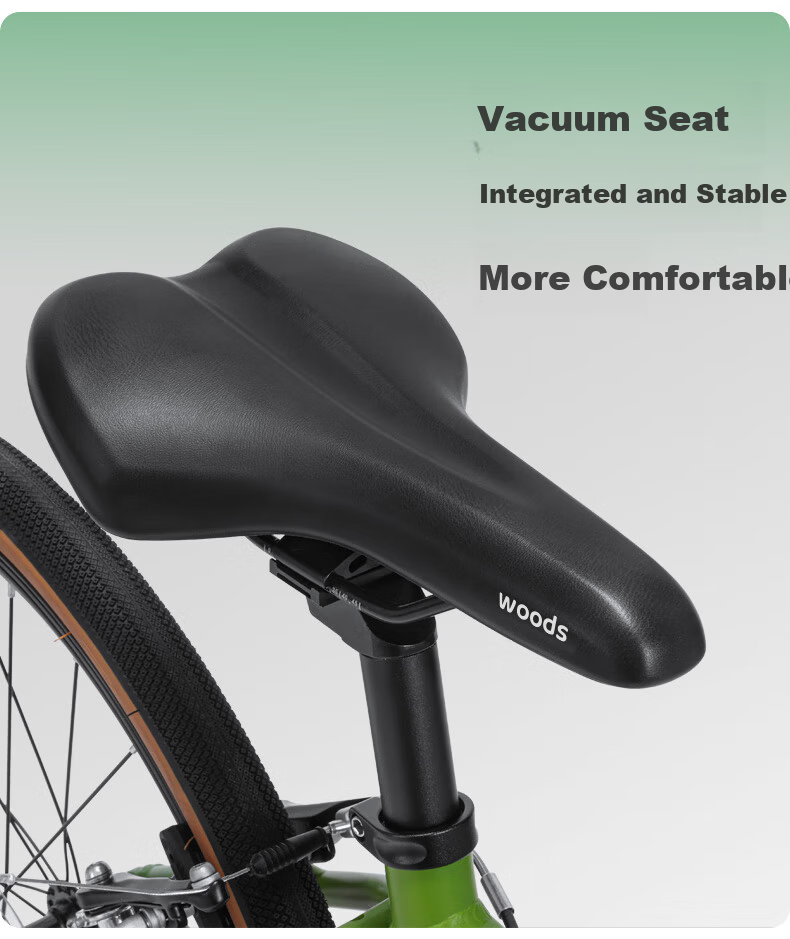 Xiaosenlin Woods T100 Aluminum Alloy Commuter 24-inch Gear Lightweight Vintage Bicycle Unisex 15
