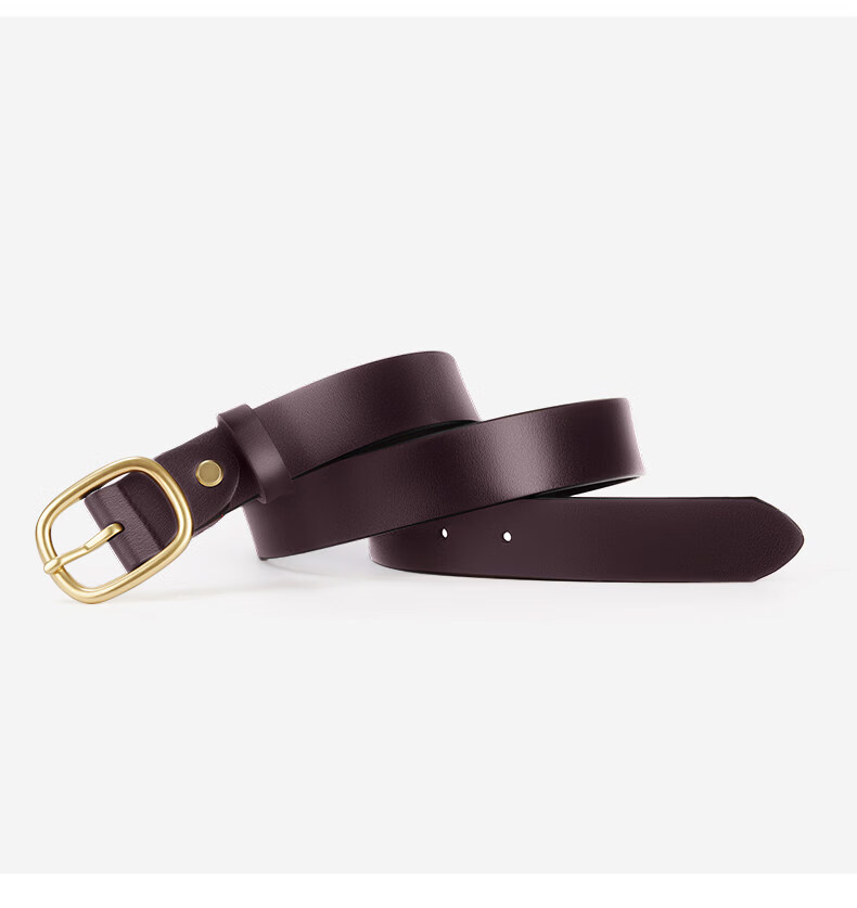 Romon Women's Genuine Leather Belt with Pin Buckle 2026 New High-End Decorative Waist Chain Simple Versatile Jeans Belt 19