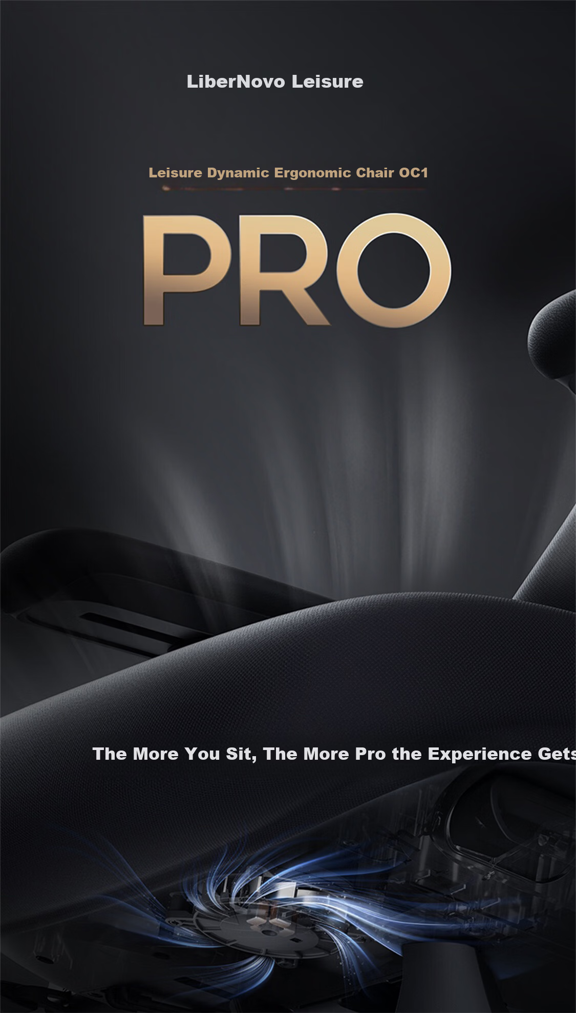 LiberNovo Omni Dynamic Ergonomic Computer Office Chair OC-1Pro Graphite Gray Standard Edition 2