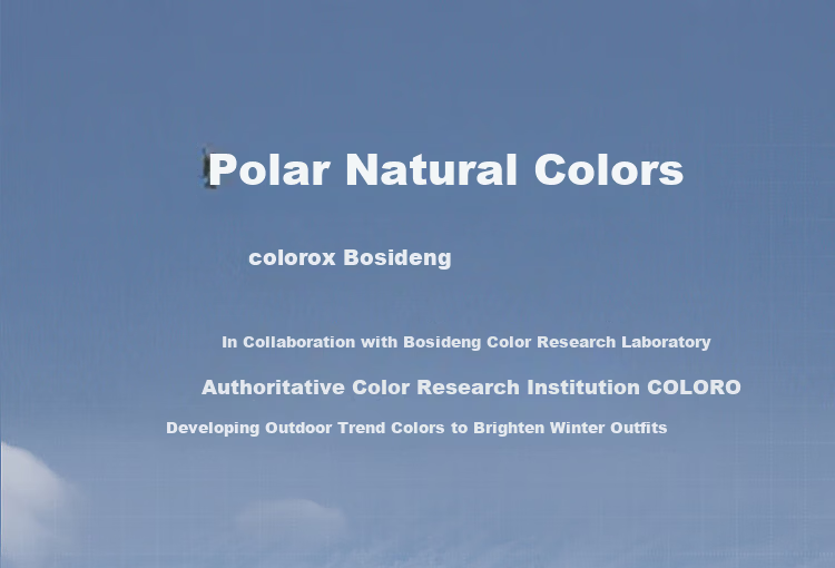 BOSIDENG Extreme Cold Goose Down Jacket Unisex Couple Thickened Long Winter Coat with Large Fur Collar 25