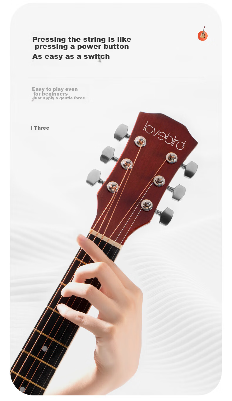 Acacia Bird 38-Inch Acoustic Guitar Beginner Entry-Level Male and Female Instrument Glossy Natural Wood Color 8