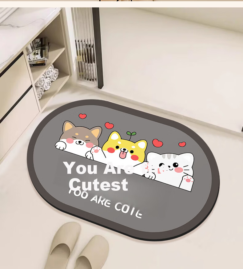 Simple American Style Bathroom Non-Slip Water Absorption Mat Toilet Entrance Quick-Dry Floor Mat 40*60cm 7