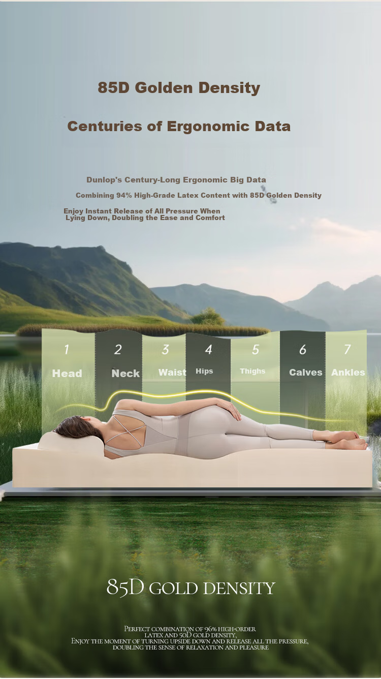 Dunlopillo , Imported from Sri Lanka, Latex Mattress for 1.5m Bed/10cm Thick, 85D ECO Luxury Latex Thin Mat 6