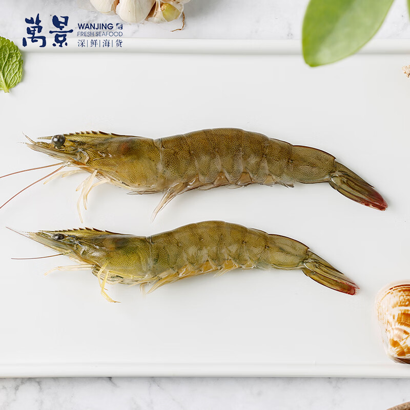 万景国产大虾 盐冻北海白虾(大号) 80-100只净重4斤 聚餐 海鲜