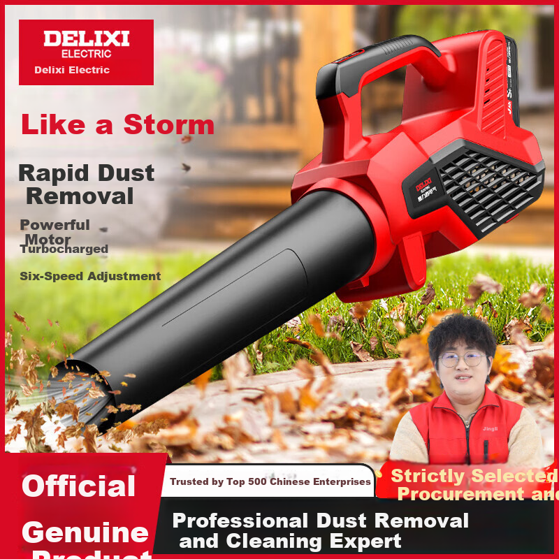 DELIXI ELECTRIC Lithium Battery Hair Dryer Industrial High-Power Fan Rechargeable Blower Snow Blower Dust Removal Household Electric Blowing Tool