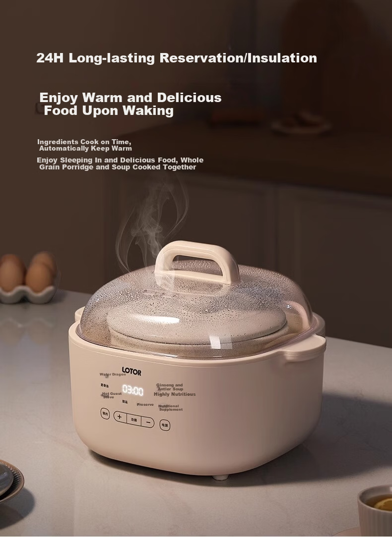LOTOR Multifunctional Electric Stew Pot, Home Double Boiler, Small Capacity Soup Pot, Bird's Nest Stewing Cup, Soup Cooking Pot, Baby Porridge Cooking Tool 8