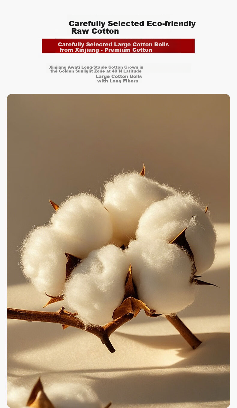 MUJI A-Class 100% Xinjiang Pure Cotton Quilt Core Autumn Winter Thick 6 Jin 200*230cm 2