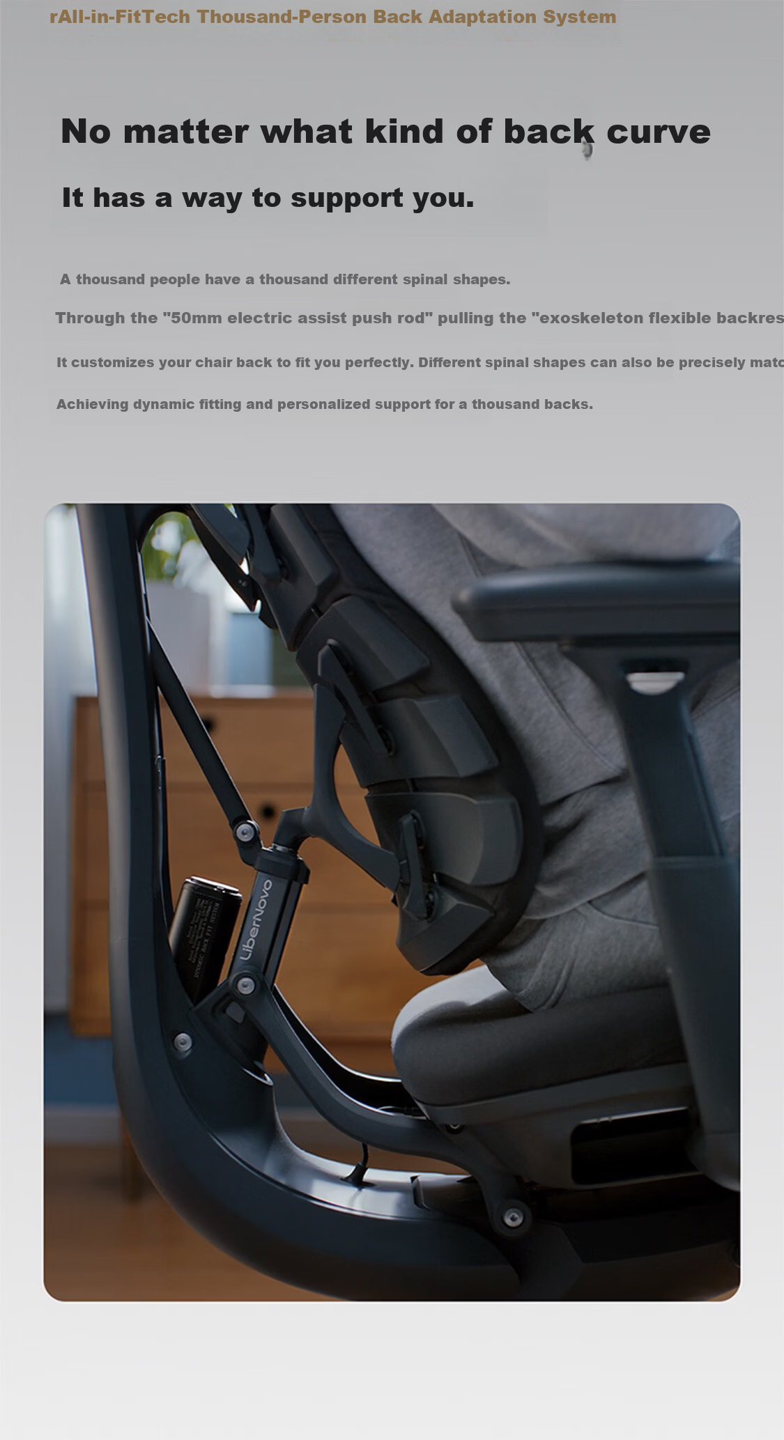 LiberNovo Omni Dynamic Ergonomic Computer Office Chair OC-1Pro Graphite Gray Standard Edition 11
