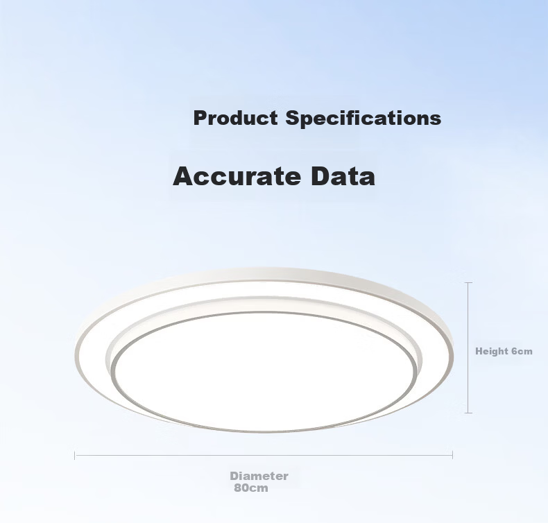 Dell Large Round Ceiling Light Modern Simple Eye-Care Living Room Bedroom Lamp Fixture New Model 19